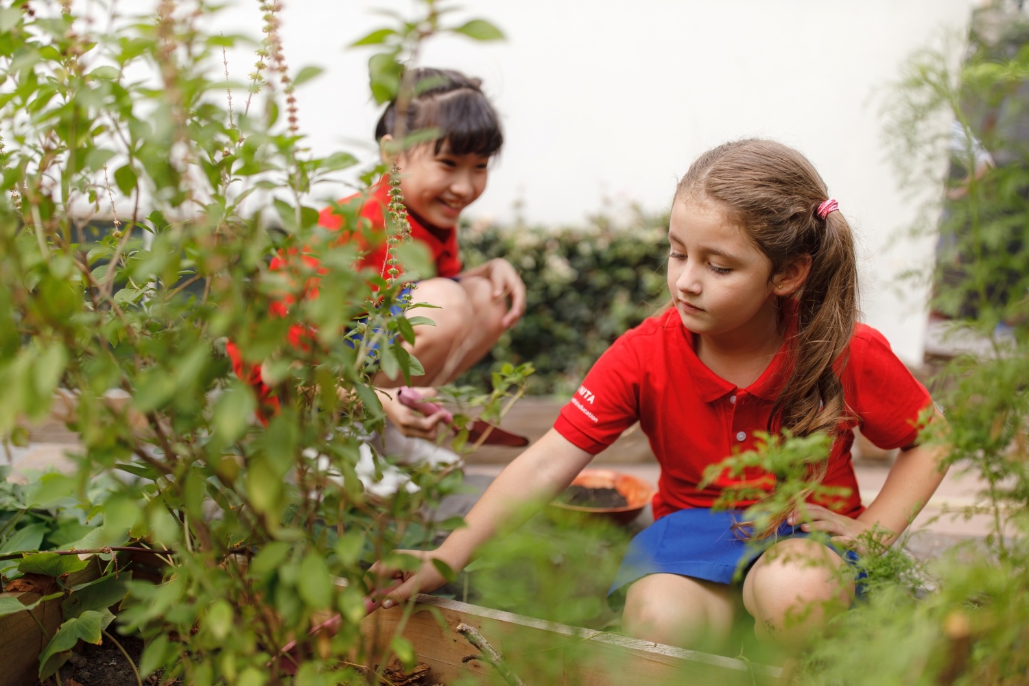 Truong mam non va tieu hoc Sai Gon Pearl,  ISSP anh 4