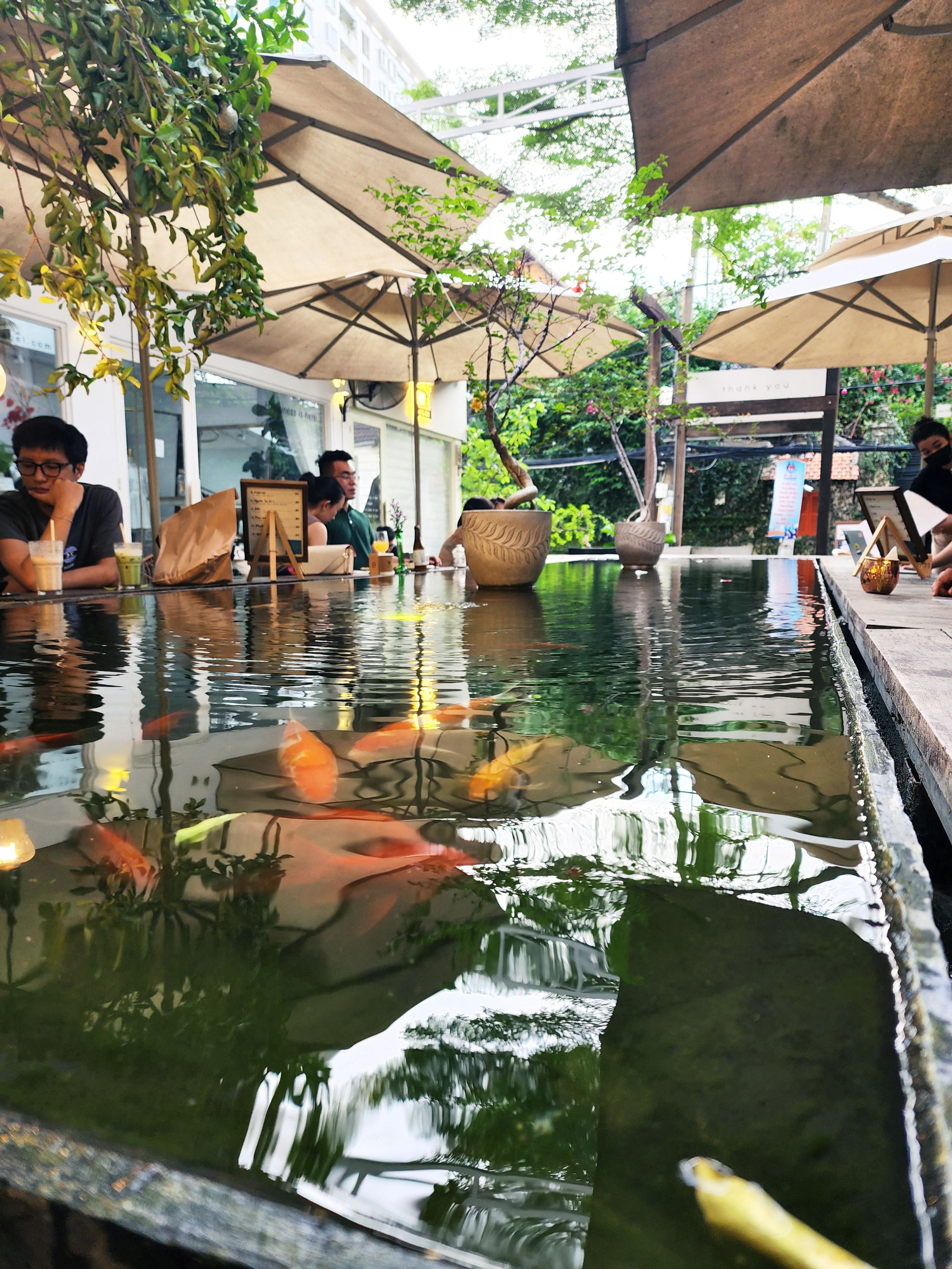 TP.HCM,  chup anh bang dien thoai anh 12