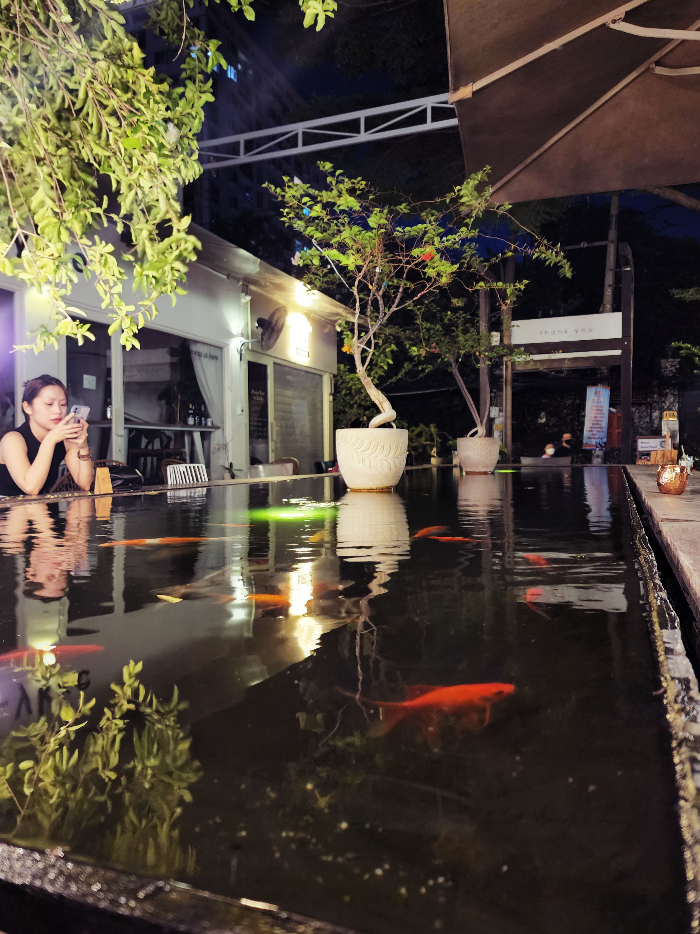 TP.HCM,  chup anh bang dien thoai anh 13