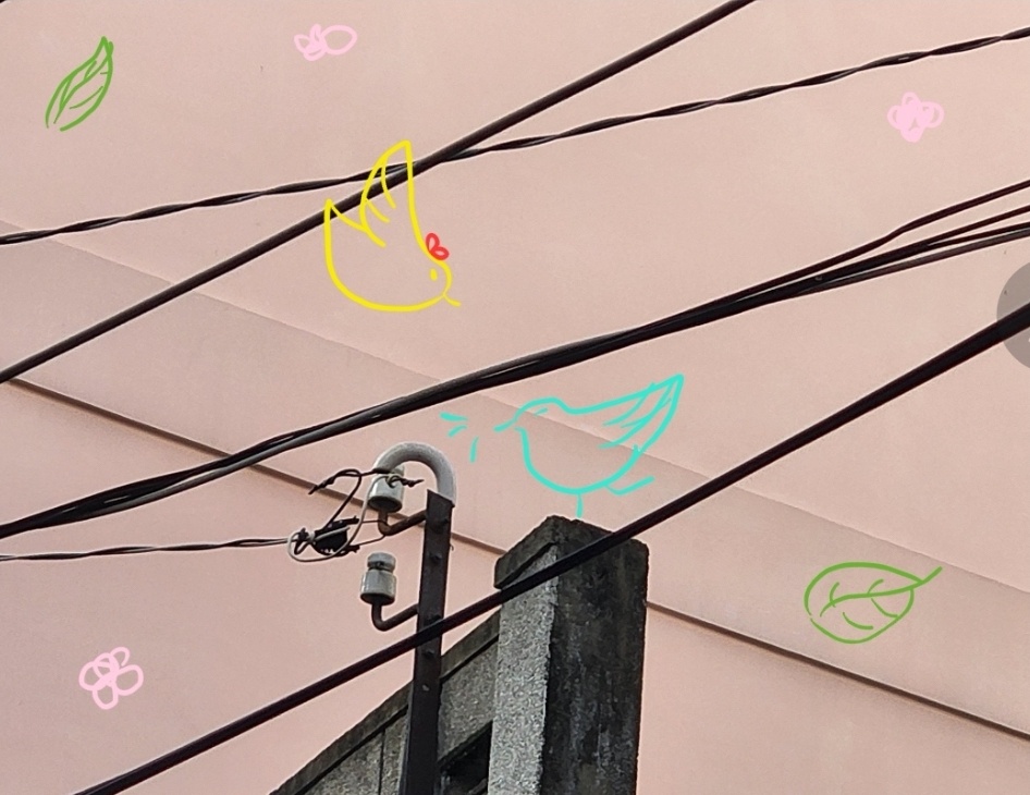 TP.HCM,  chup anh bang dien thoai anh 2