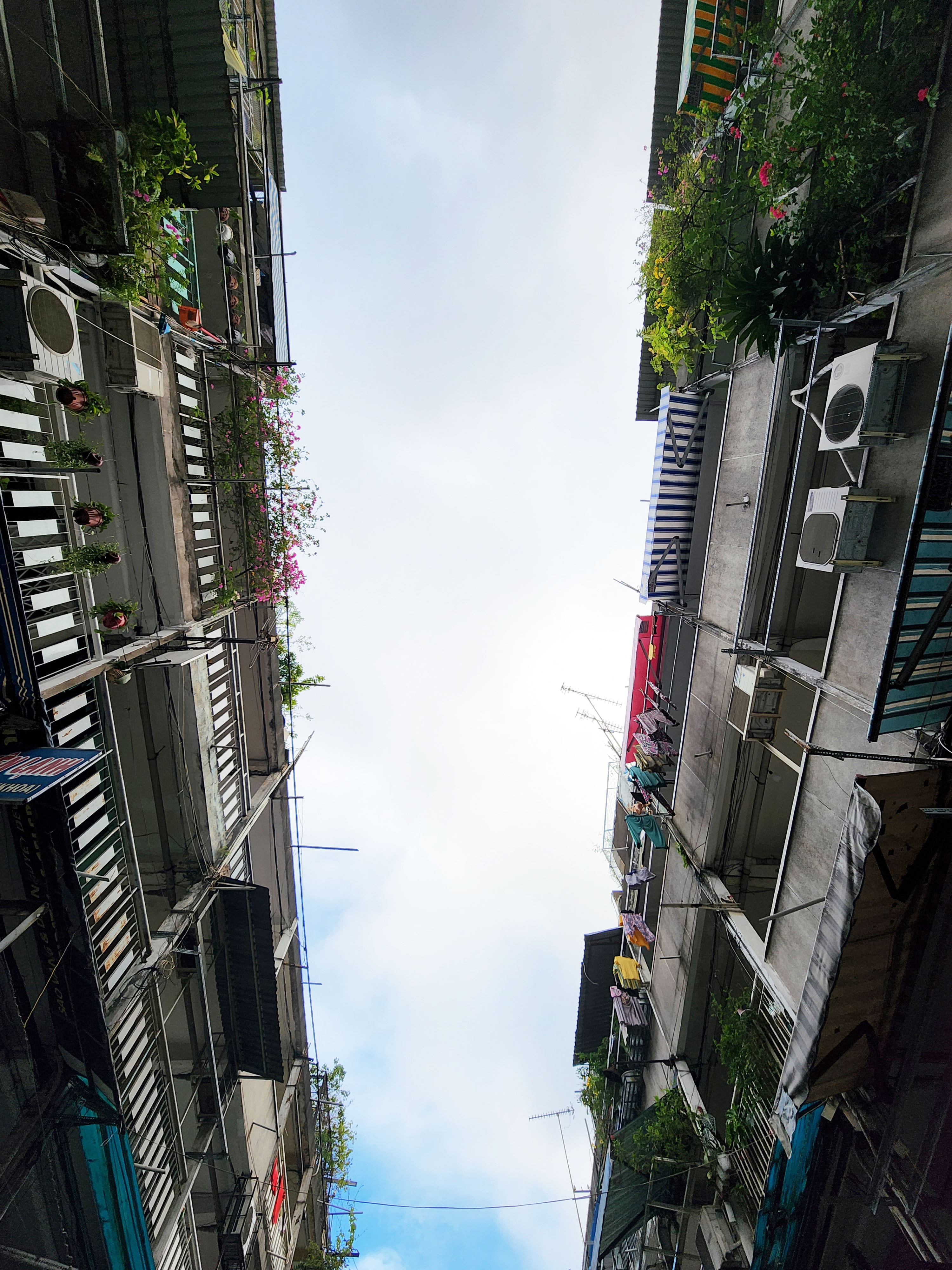 TP.HCM,  chup anh bang dien thoai anh 4