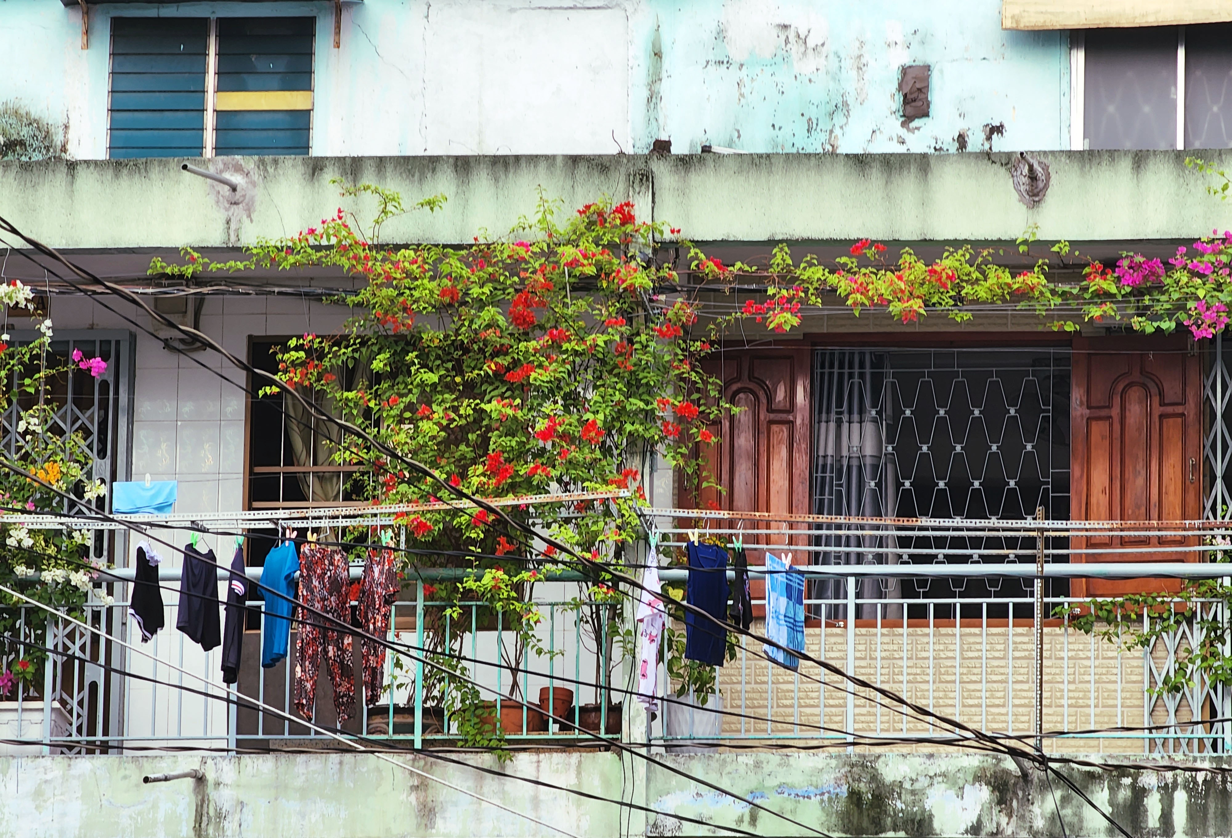 TP.HCM,  chup anh bang dien thoai anh 6