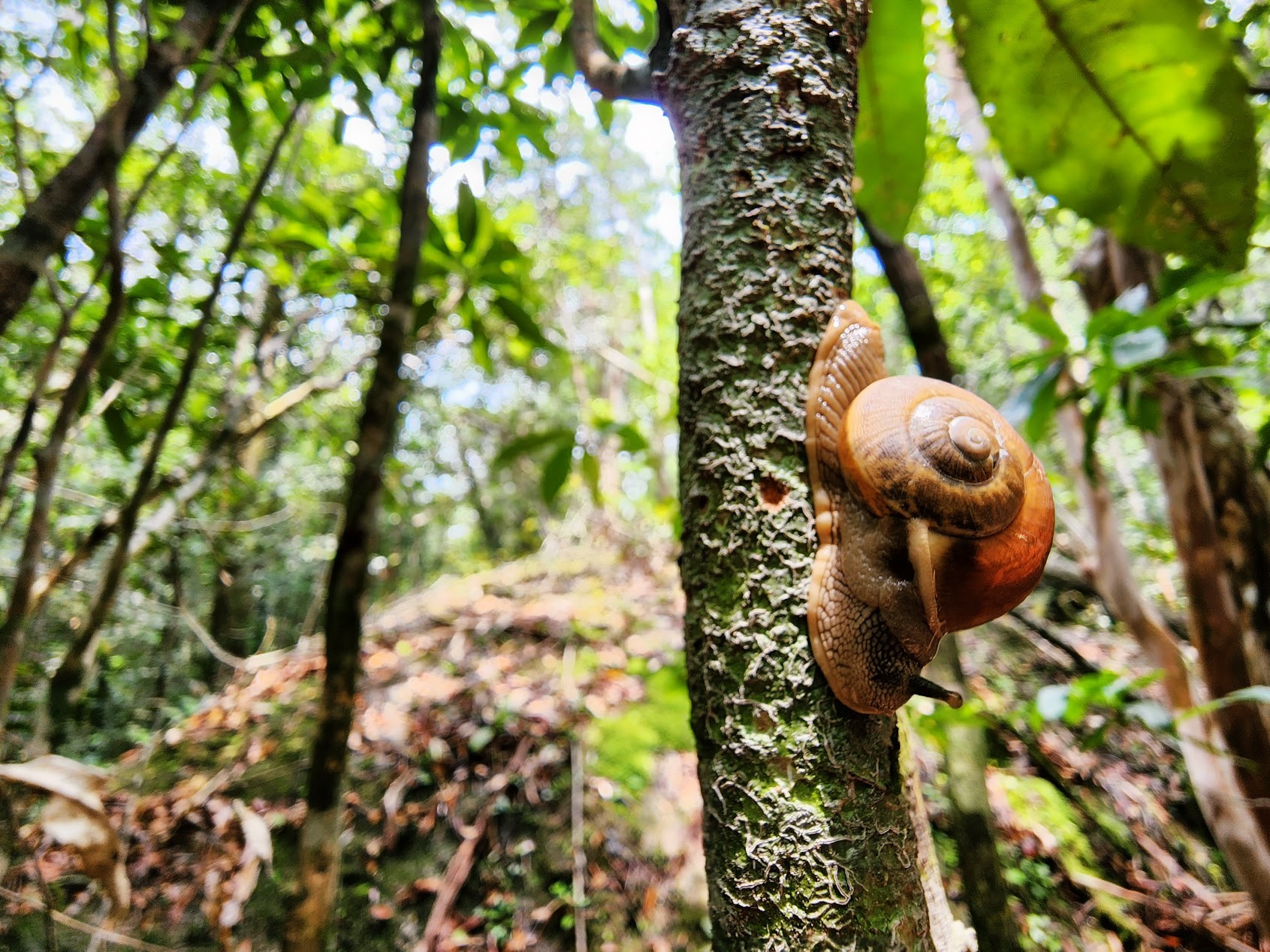 địa điểm trekking cuối tuần ảnh 6 dia diem trekking cuoi tuan anh 6