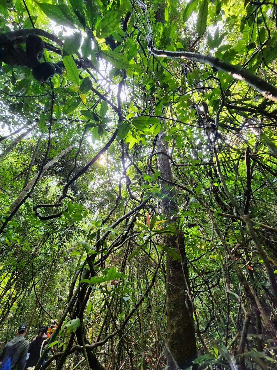 địa điểm trekking cuối tuần ảnh 3 dia diem trekking cuoi tuan anh 3
