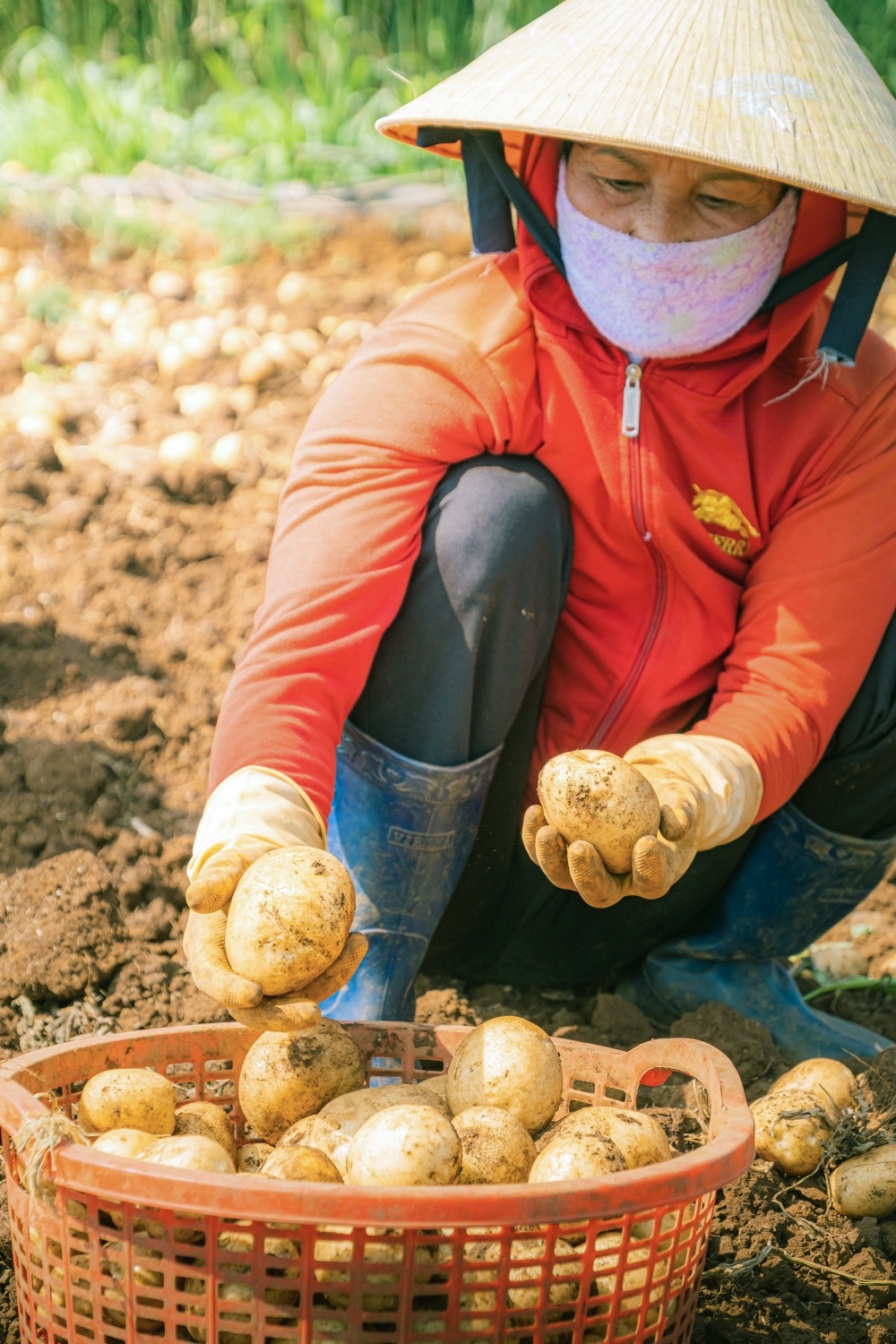 Cung Lay's chung vui them niem vui chung,  Lay's anh 1