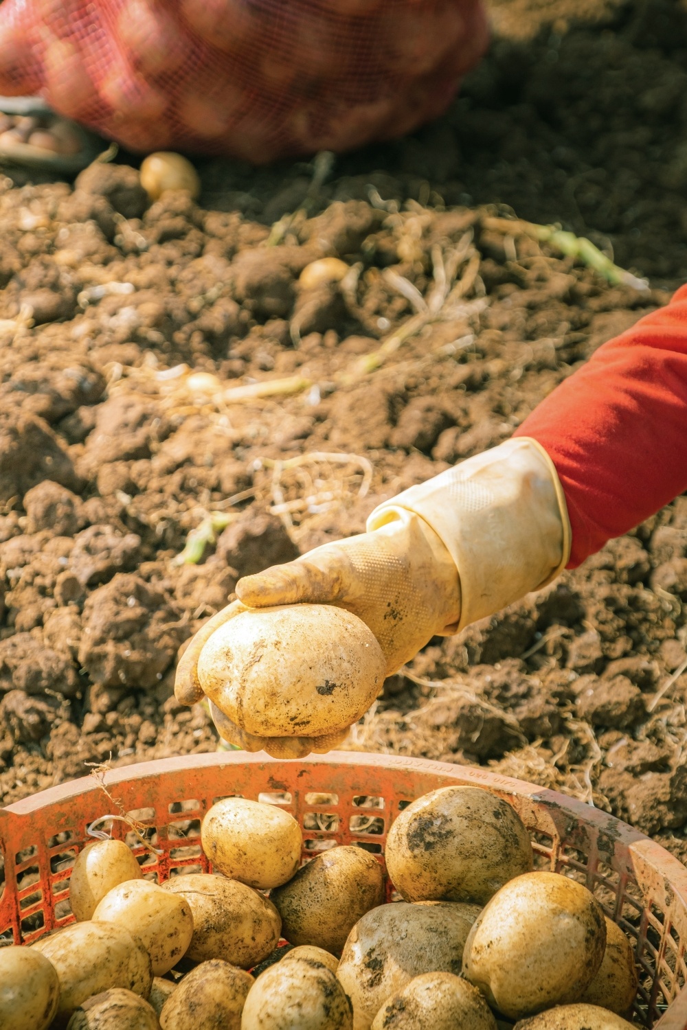 Cung Lay's chung vui them niem vui chung,  Lay's anh 2