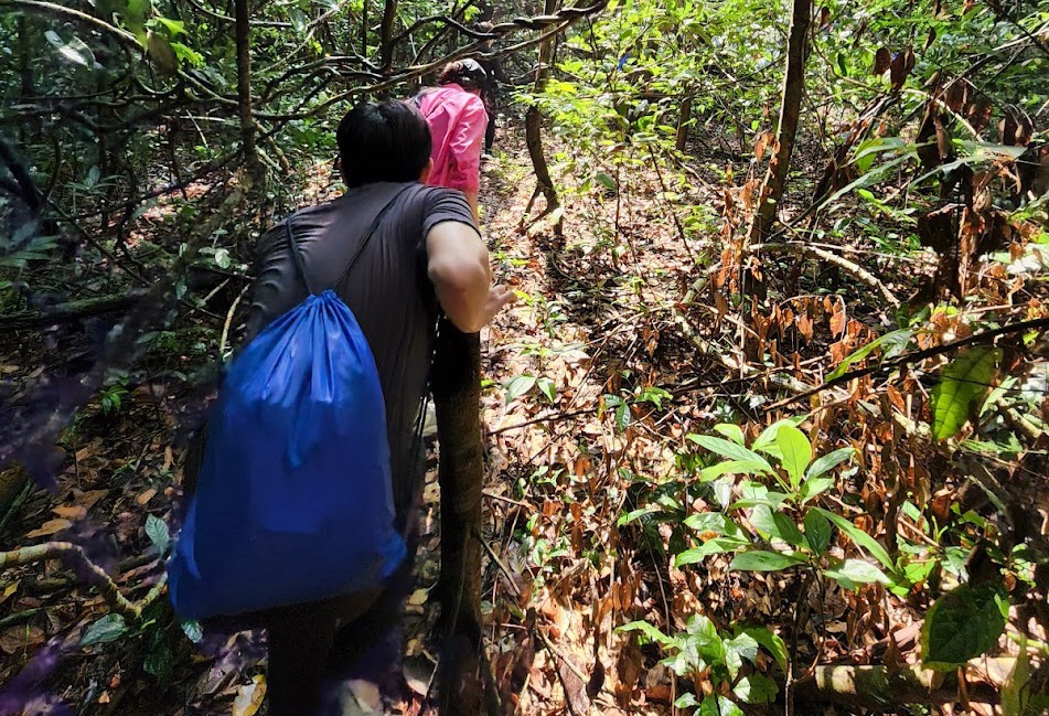 Ban tre chon trekking de song cham ngay cuoi tuan hinh anh