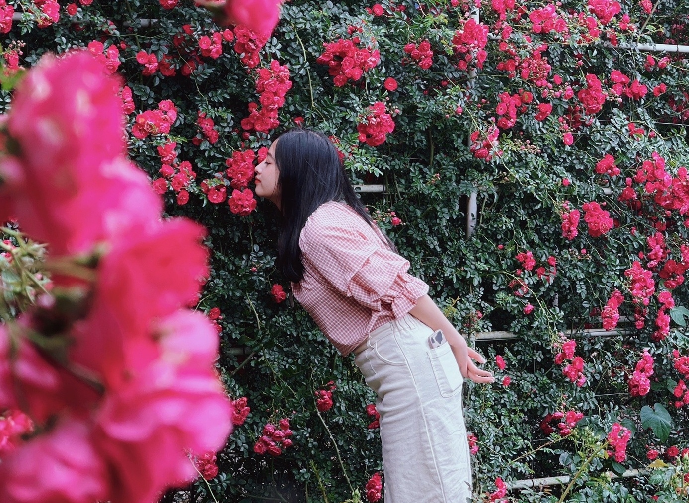 Du khach mua ve cap treo di Fansipan duoc tang buffet Tay Bac hinh anh