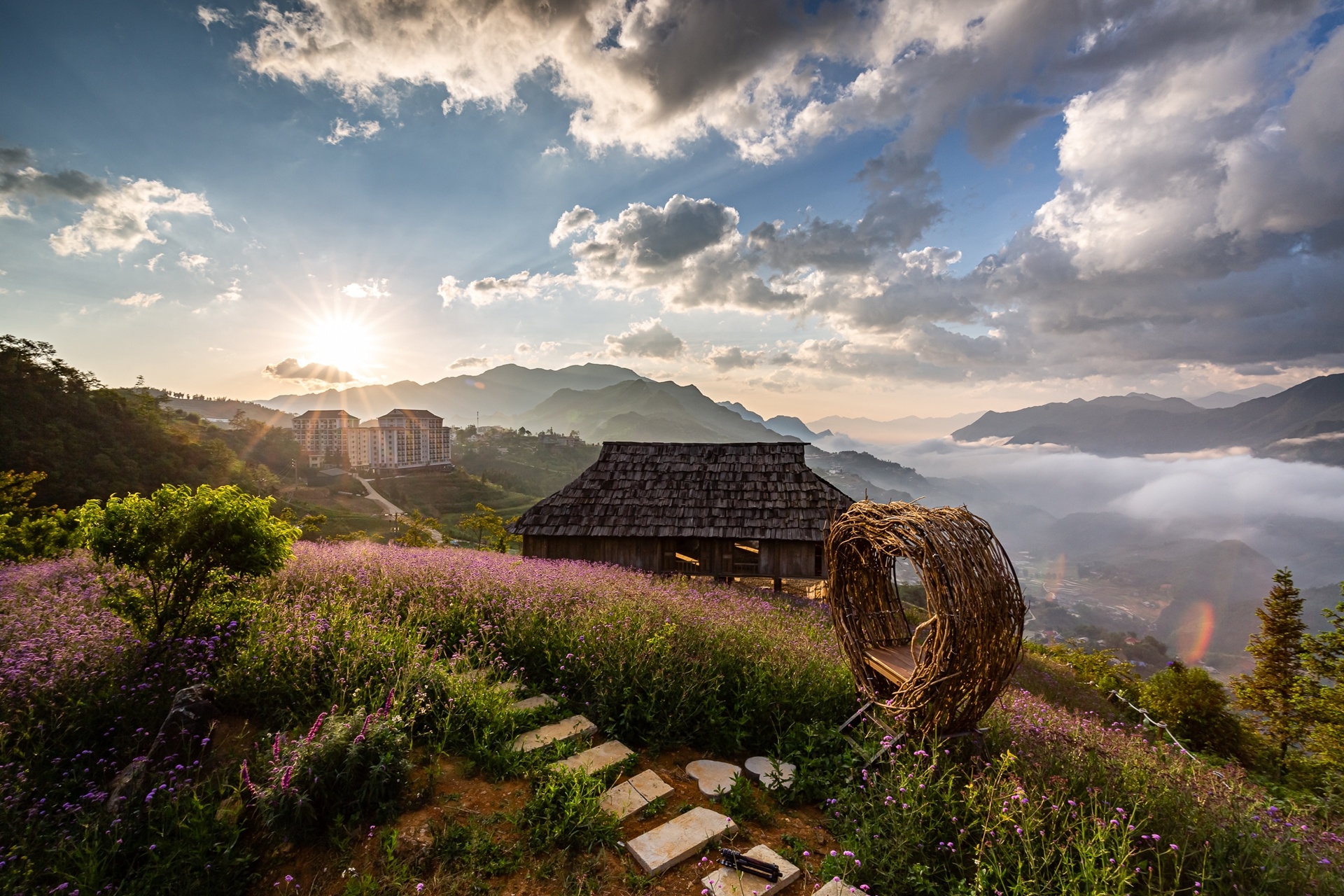 hồng leo Sa Pa, du lịch Fansipan ảnh 8 hong leo Sa Pa, du lich Fansipan anh 8