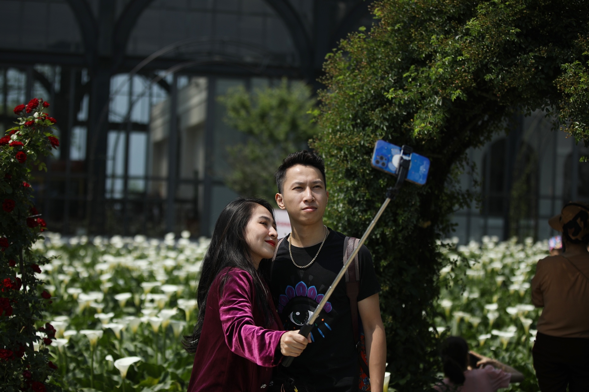 hồng leo Sa Pa, du lịch Fansipan ảnh 9 hong leo Sa Pa, du lich Fansipan anh 9