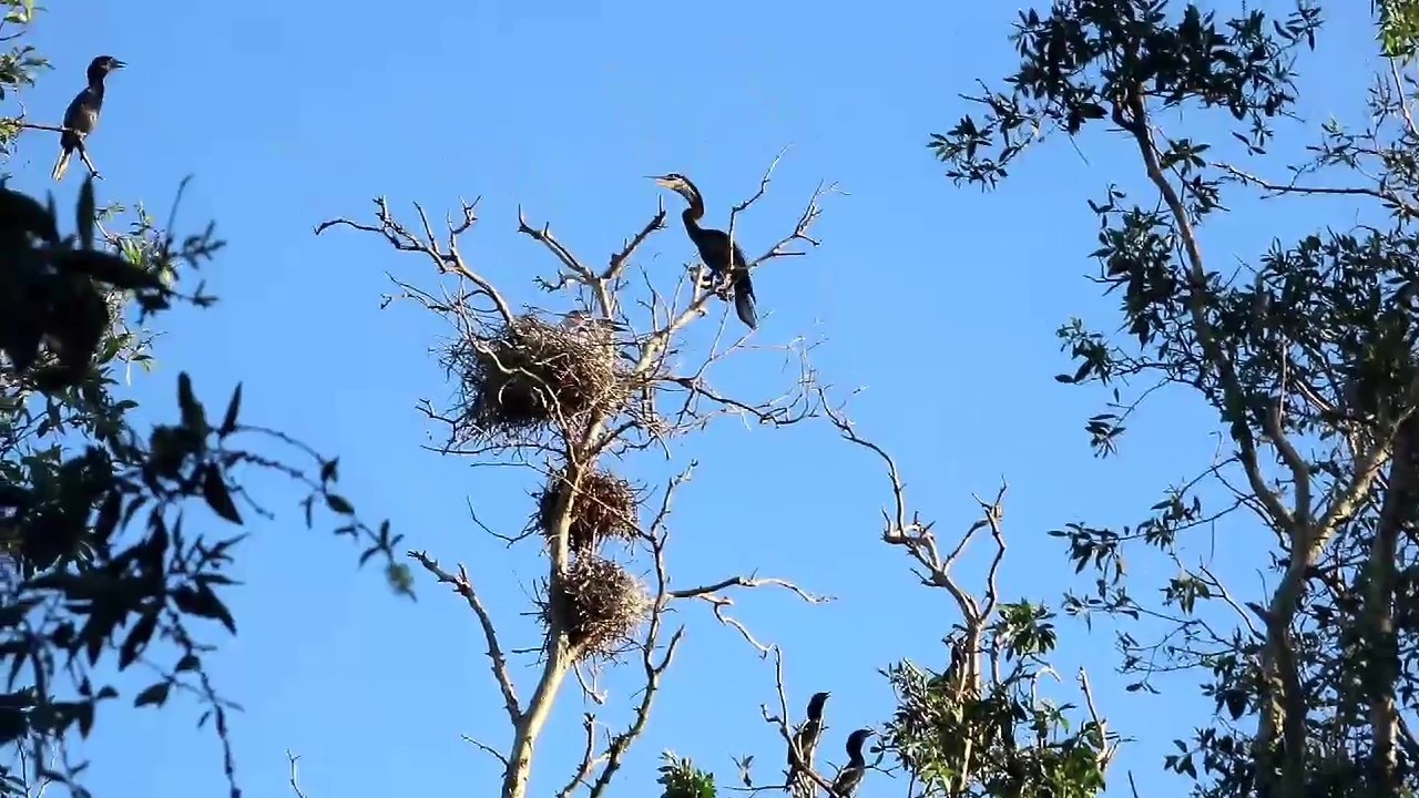 Du lich mien Tay anh 3