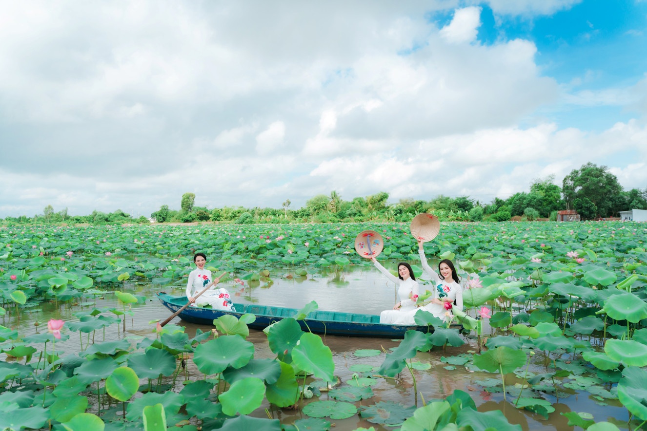 Lễ hội Sen Đồng Tháp ảnh 2 Le hoi Sen Dong Thap anh 2