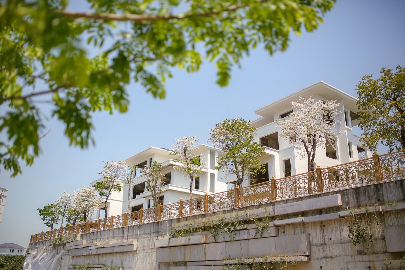 Y nghia ten goi cua 26 dinh thu dinh doi tai Ha Long hinh anh