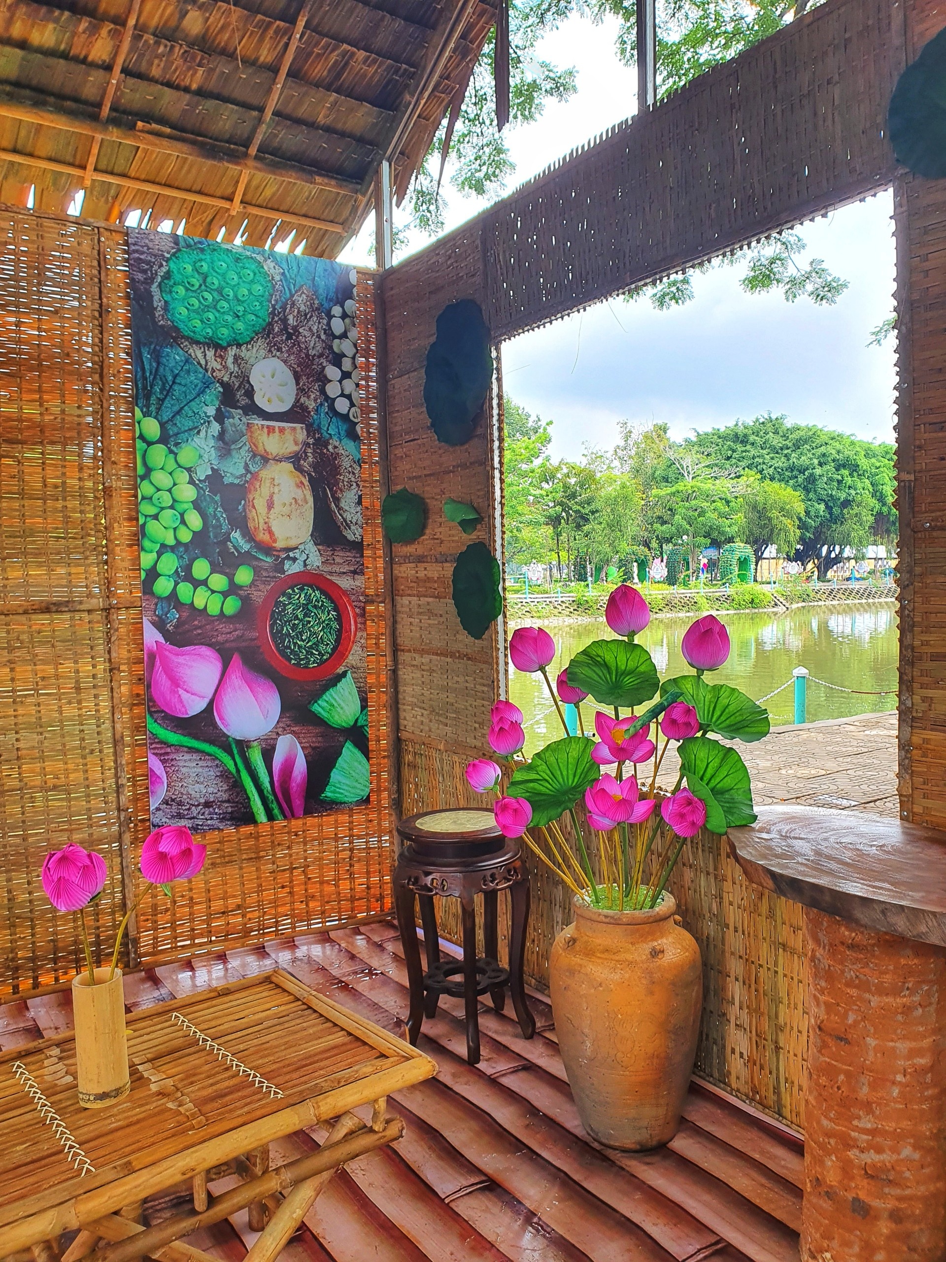 hoa sen,  du lich anh 2