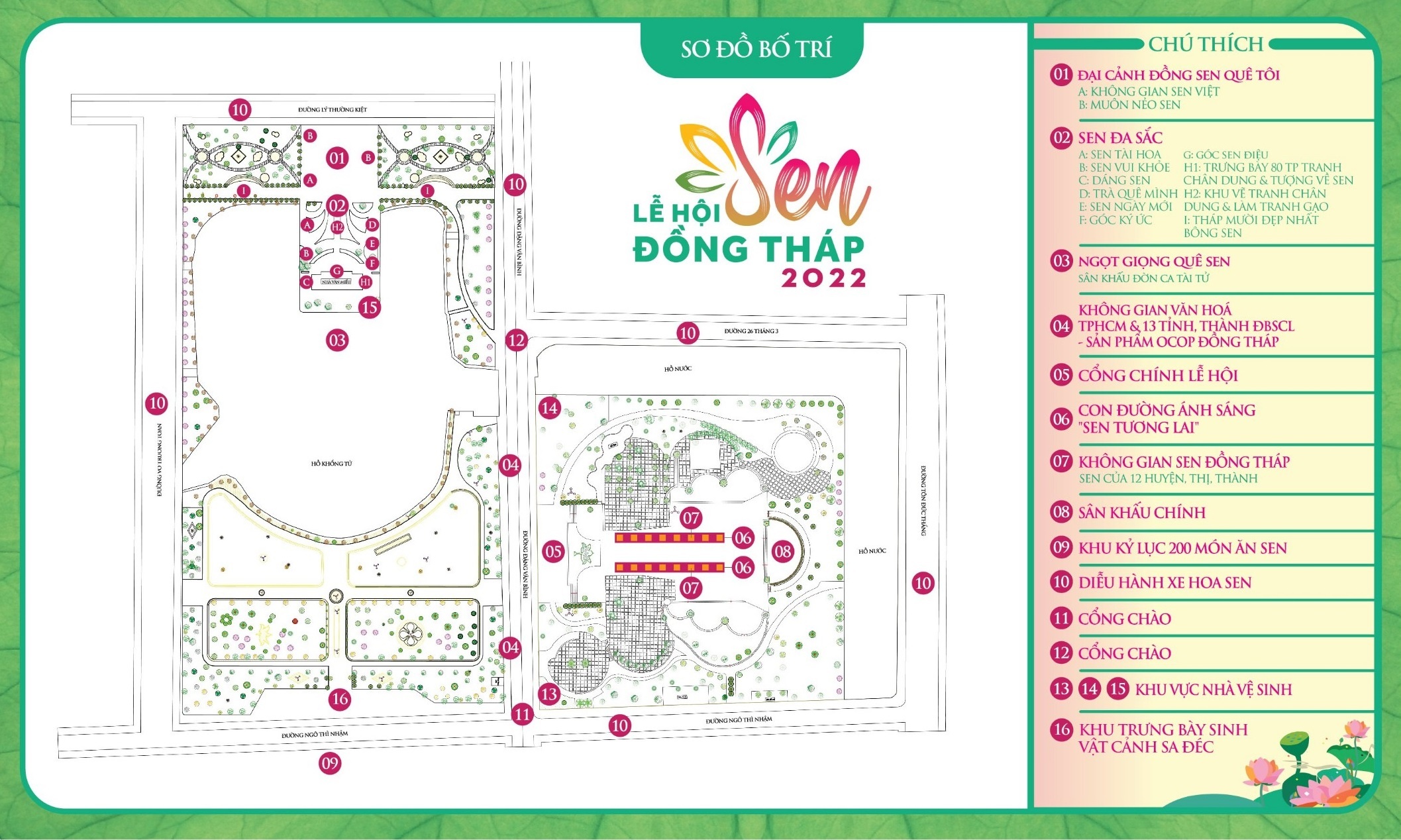 hoa sen,  du lich anh 6