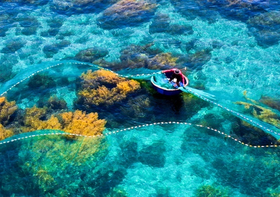 Suc song moi cua thanh pho Quy Nhon hinh anh