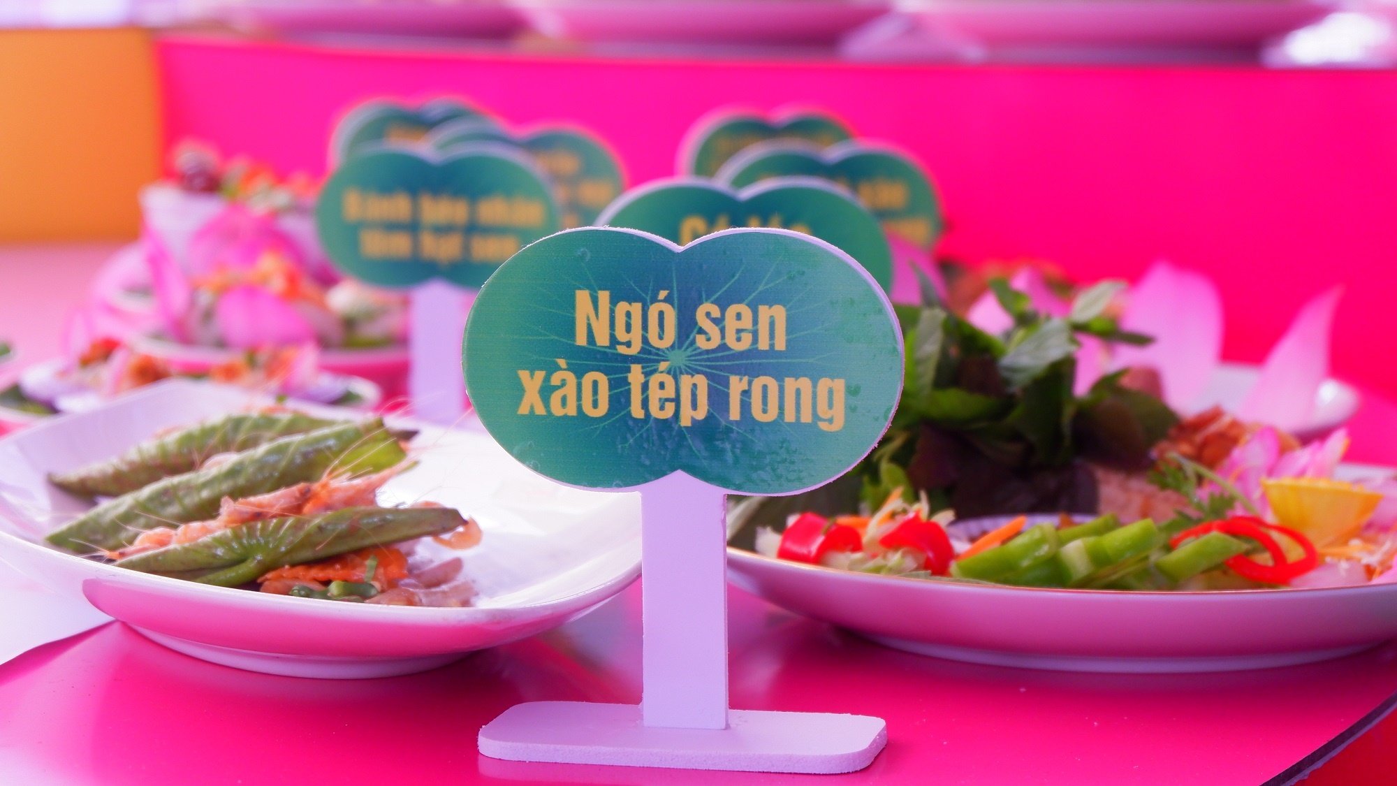 Le hoi Sen Dong Thap anh 4