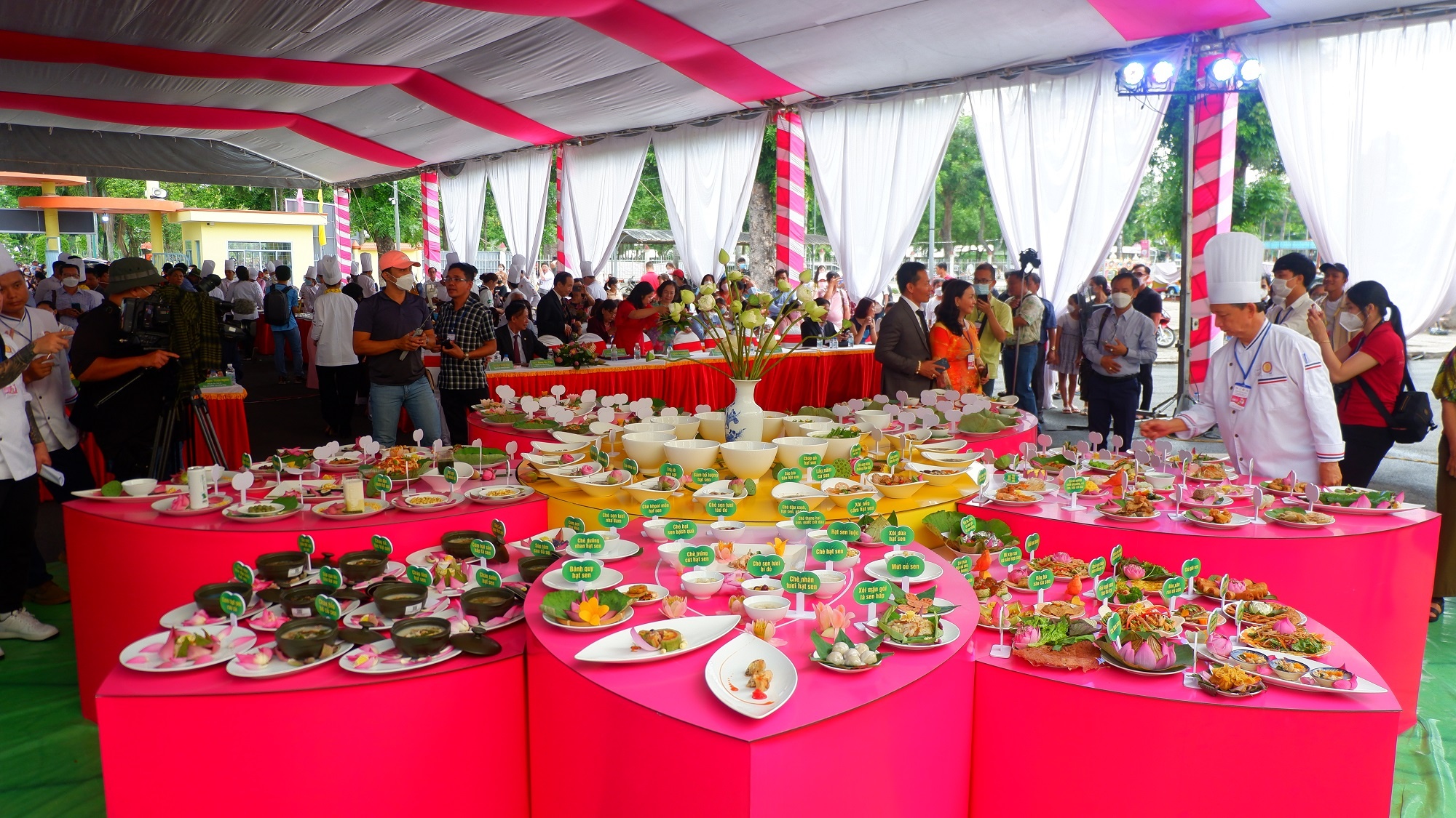 Le hoi Sen Dong Thap anh 5