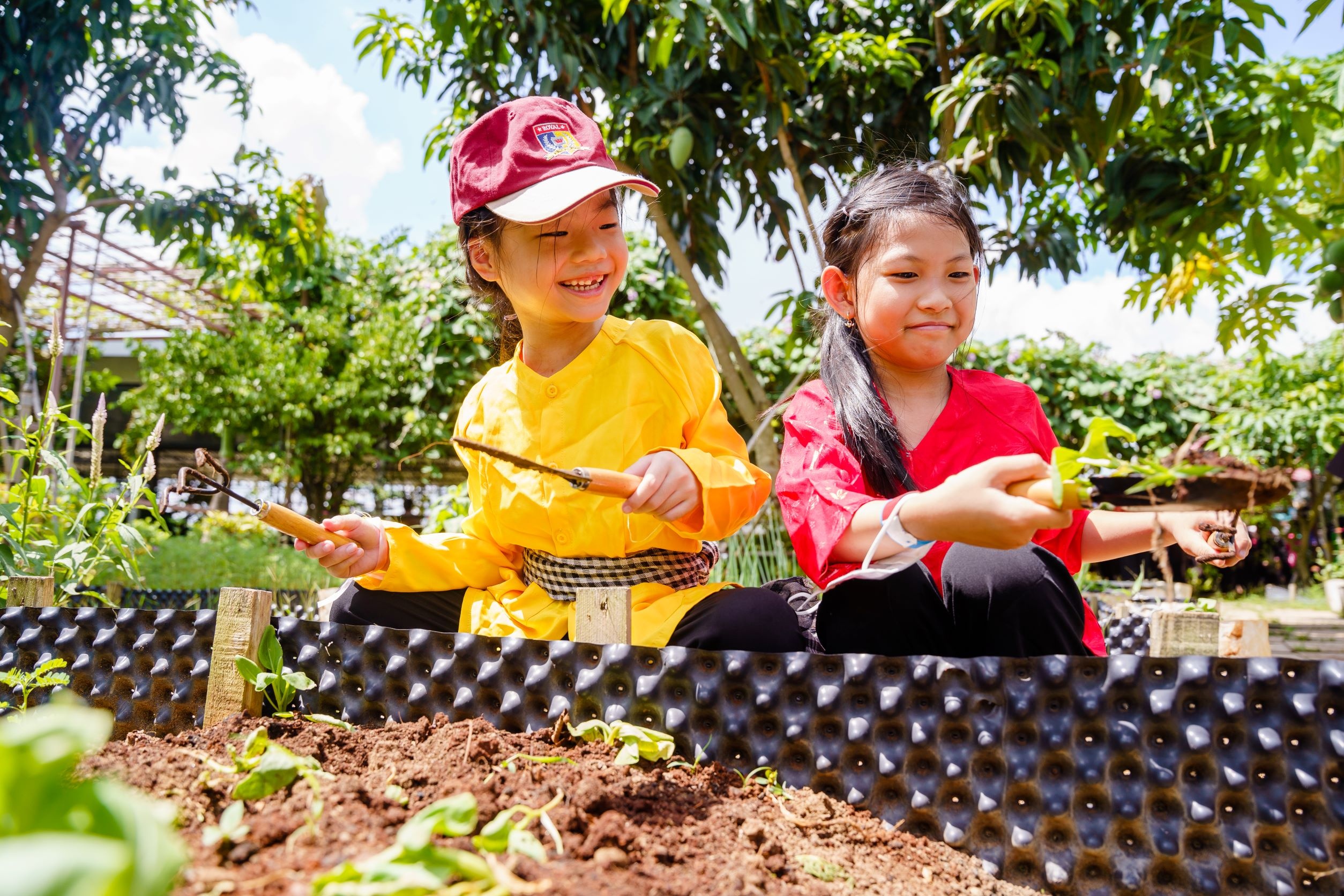 Royal School ảnh 4 Royal School anh 4