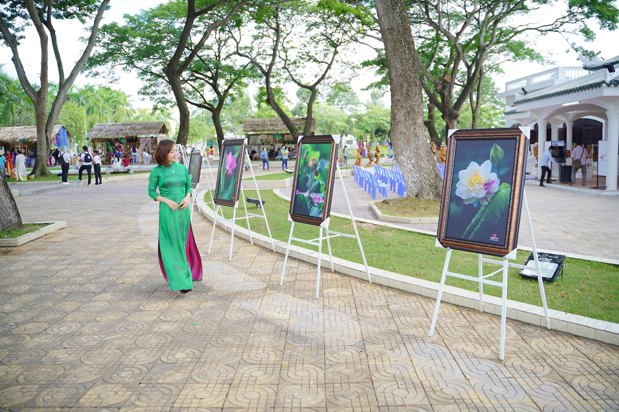 Le hoi Sen Dong Thap thu hut hang nghin luot khach moi ngay hinh anh