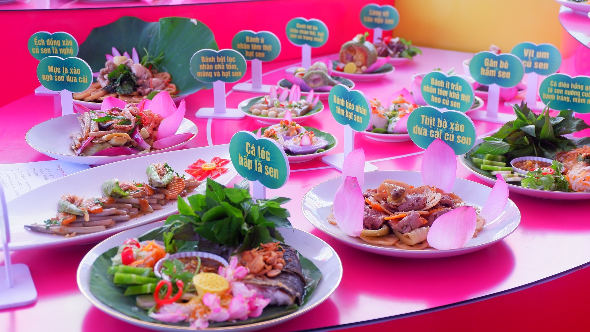 Le hoi Sen Dong Thap lan thu I anh 7