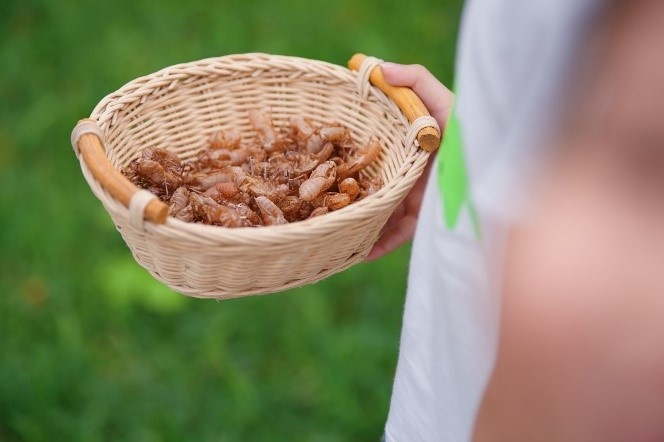 thiên nhiên, hạnh phúc ảnh 7 thien nhien, hanh phuc anh 7