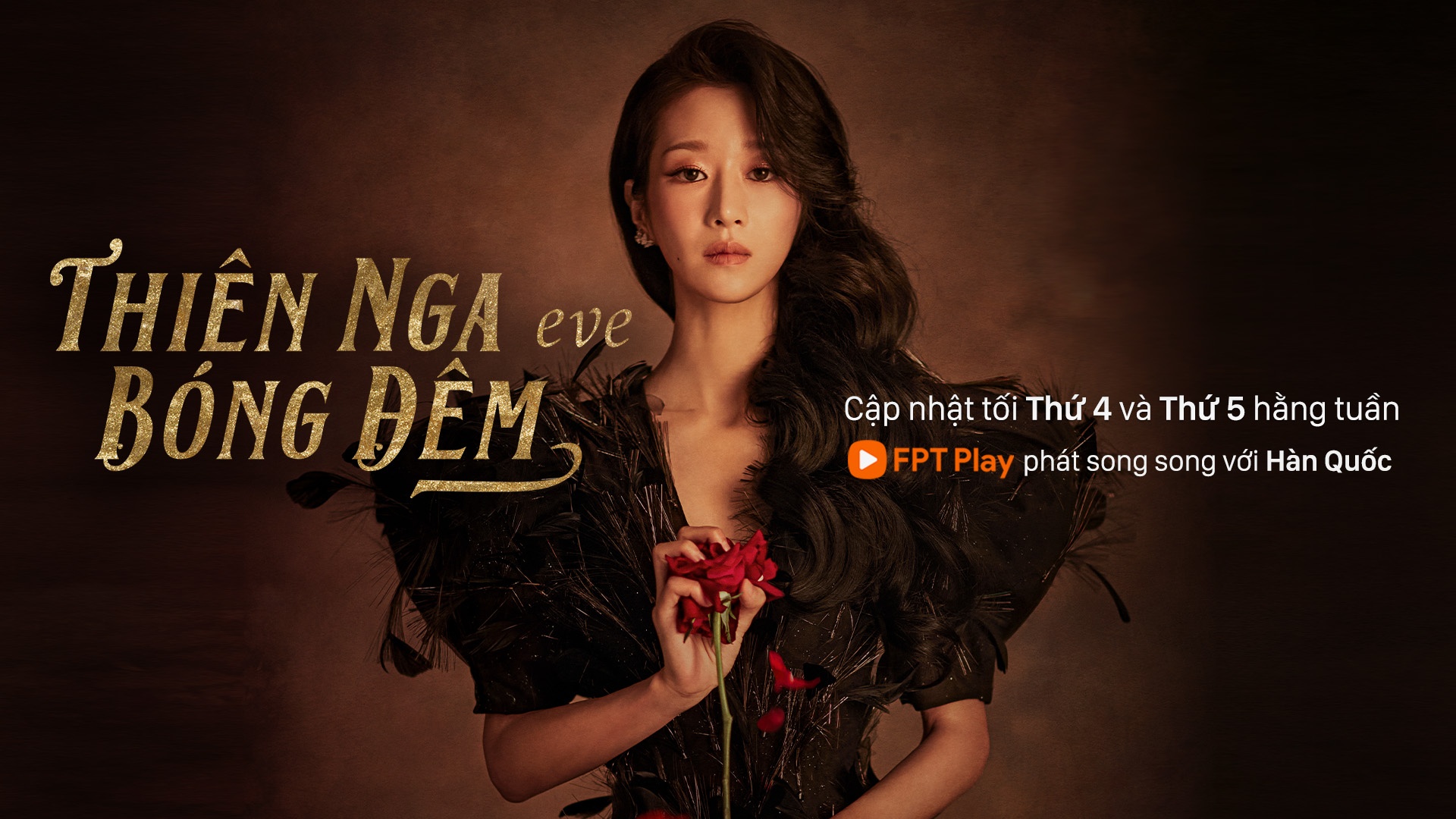 Thiên nga bóng đêm ảnh 4 Thien nga bong dem anh 4