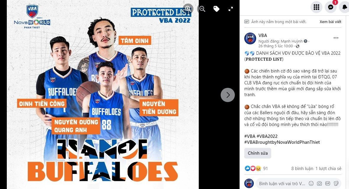 Giai bong ro chuyen nghiep Viet Nam anh 3