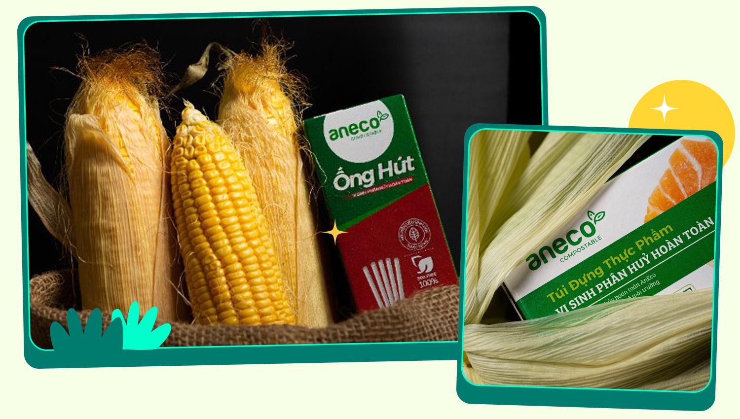 Shopee,  chon xanh anh 5