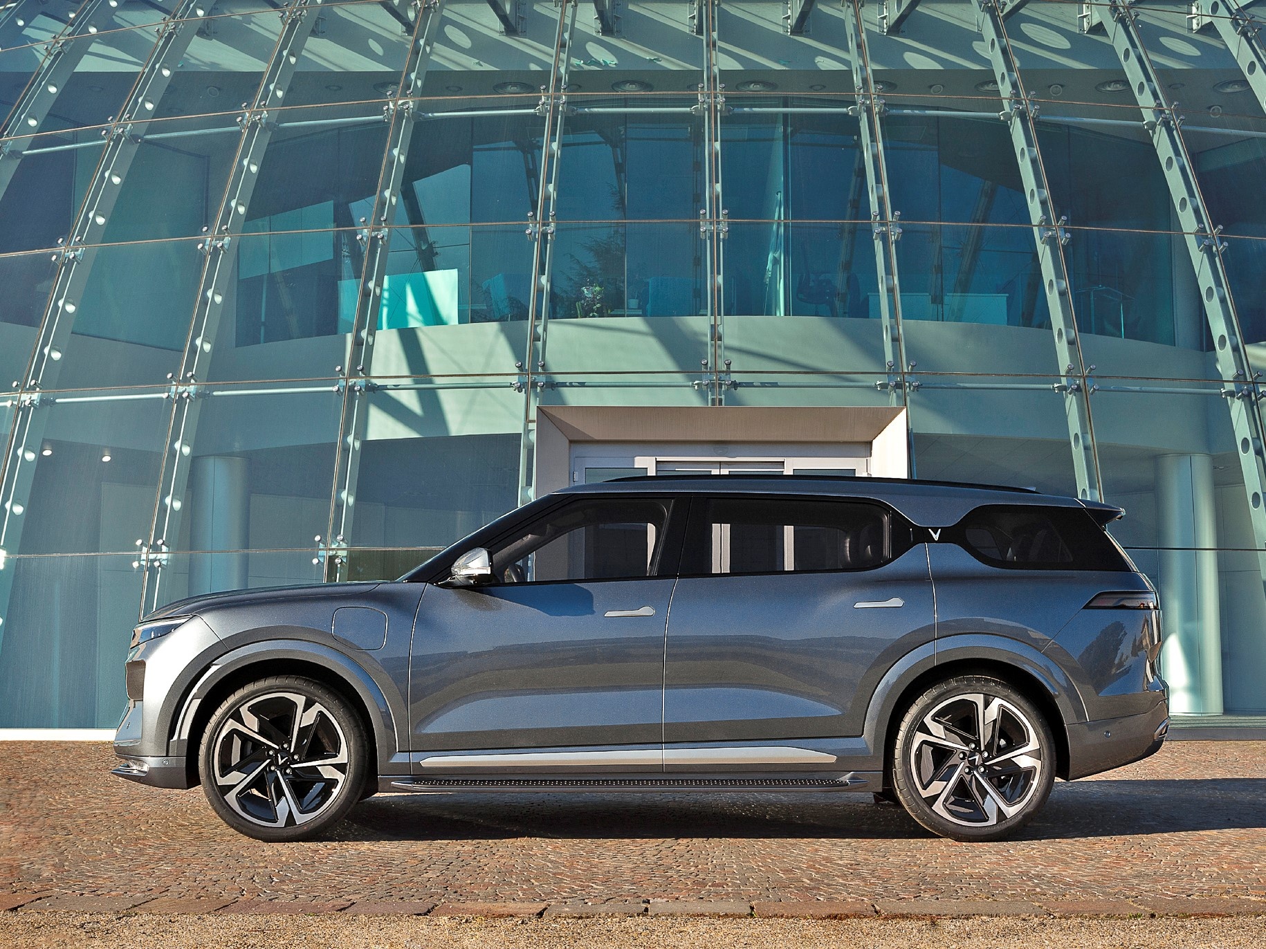 EVS35,  Vingroup anh 2