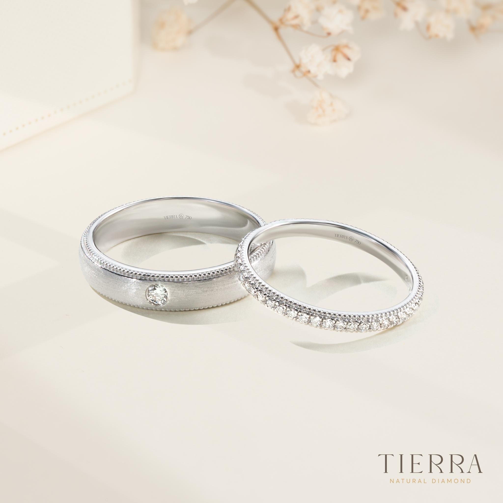 Tierra  ảnh 1 Tierra anh 1
