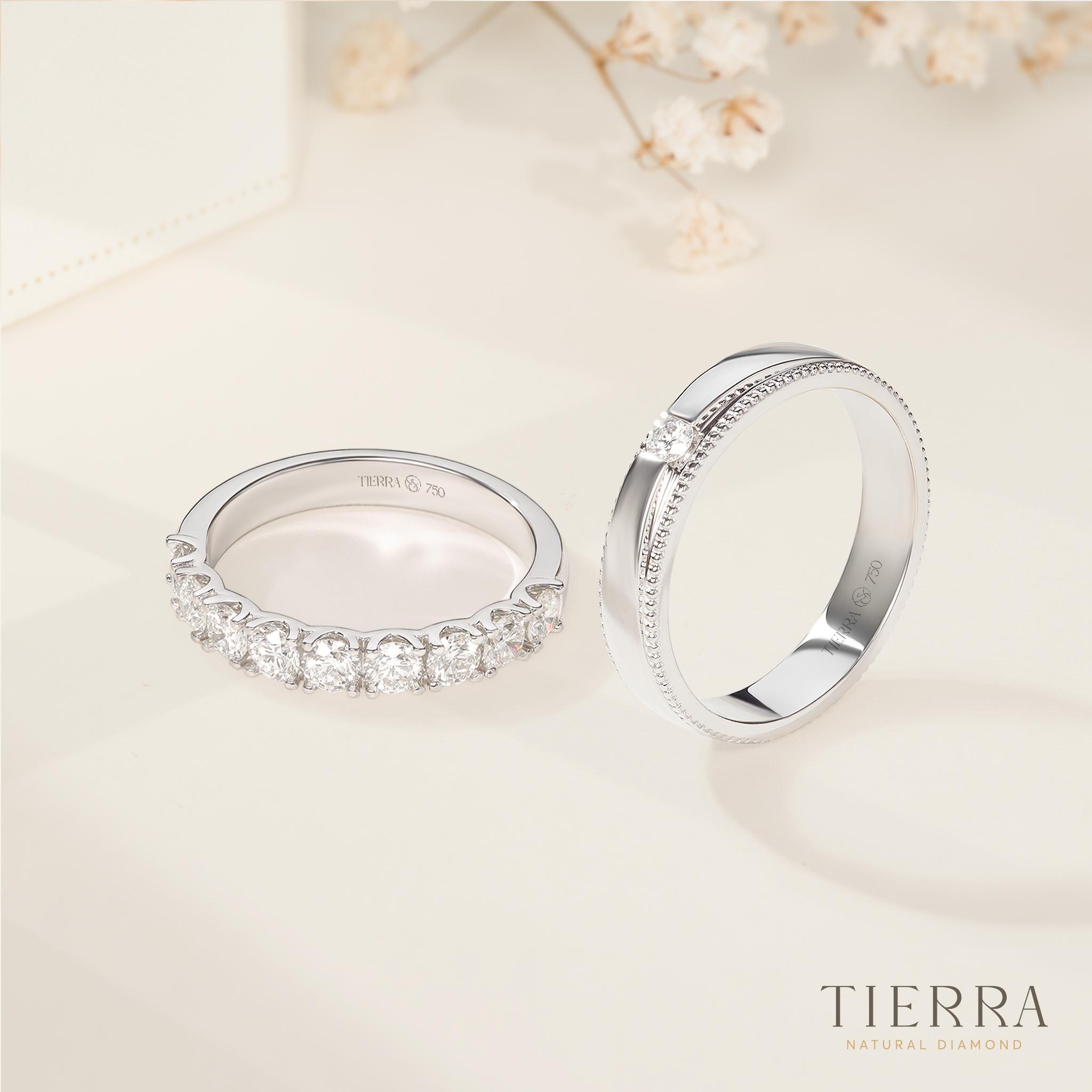 Tierra  ảnh 2 Tierra anh 2