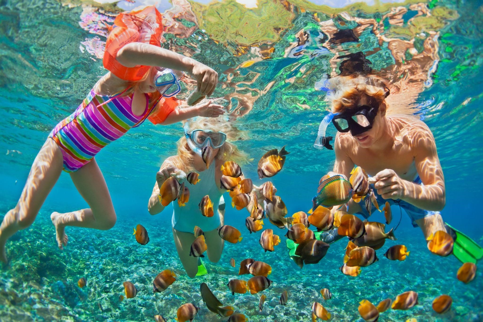 Sun Group,  Hon Thom Paradise Island ảnh 4 Sun Group,  Hon Thom Paradise Island anh 4