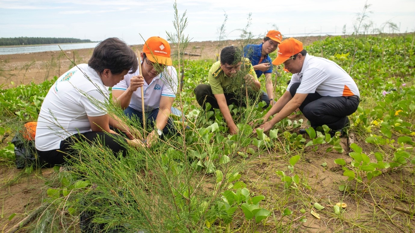 Trong rung Tra Vinh anh 1