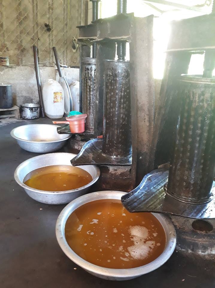 dầu đậu nành Simply ảnh 1 dau dau nanh Simply anh 1