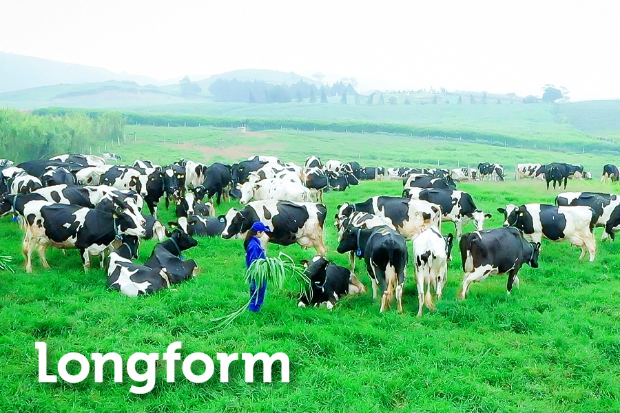 Co gi dac biet o du an nghin ty - Thien duong sua Moc Chau? hinh anh