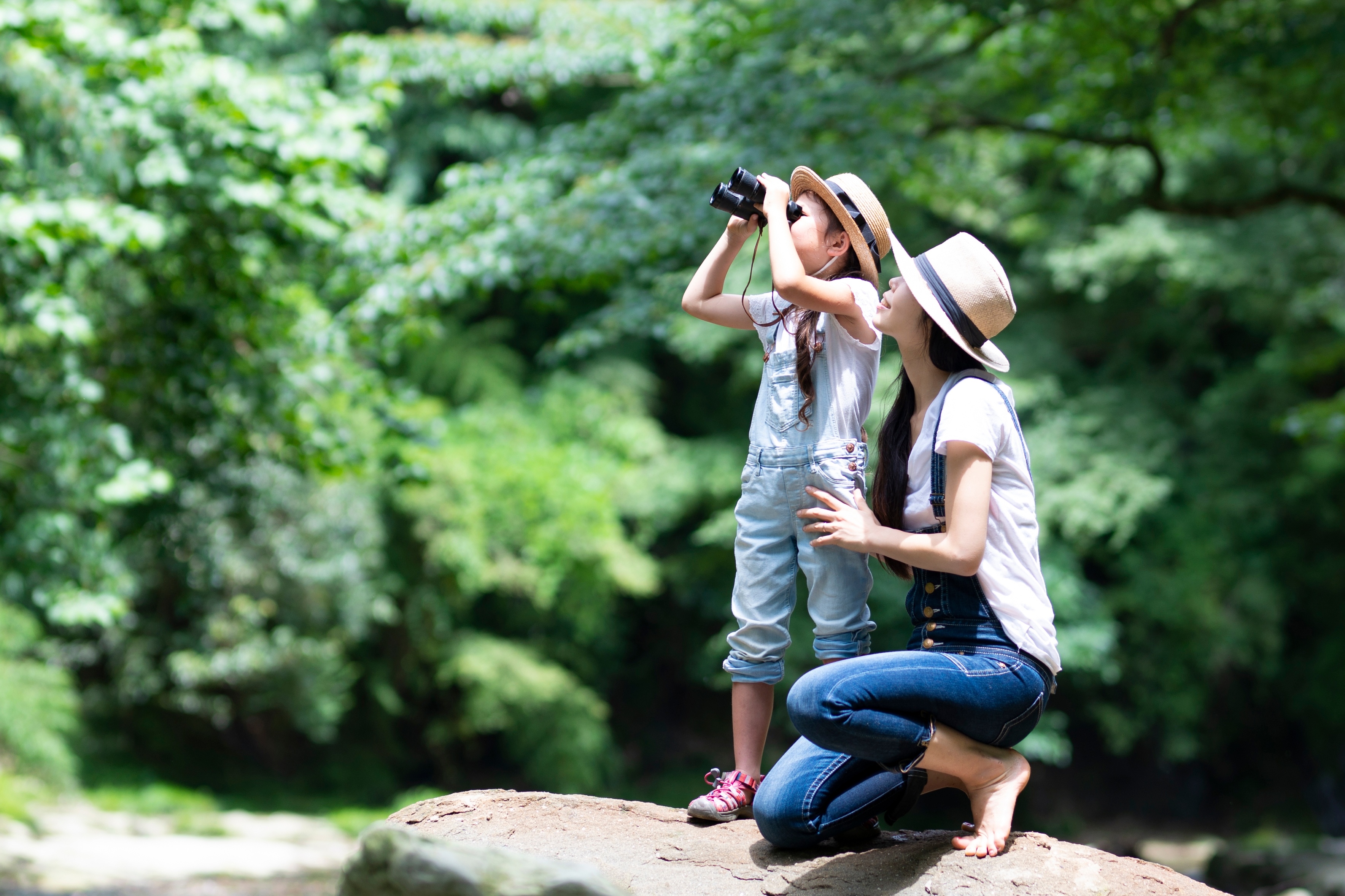Bi quyet de mua he cua gia dinh them trai nghiem dang nho hinh anh