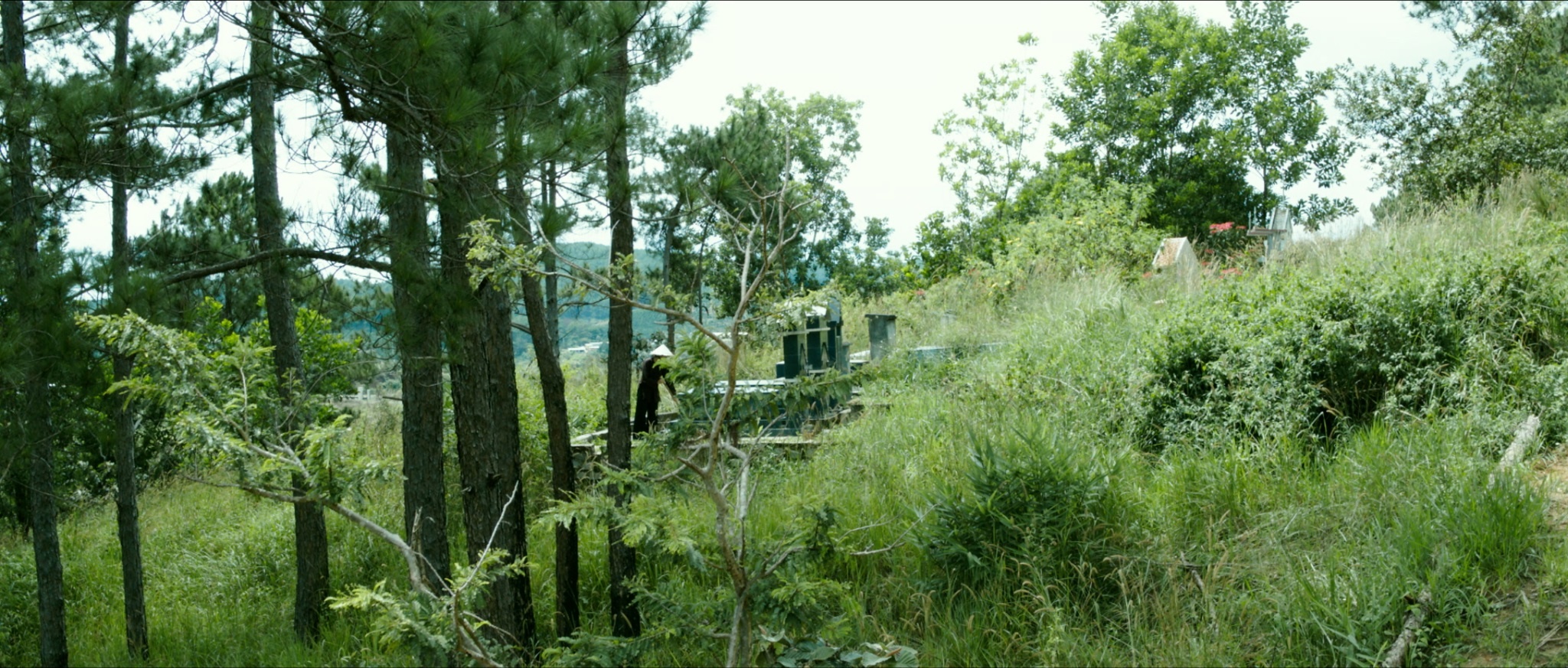 Cong Hau,  Truong Thi May anh 1