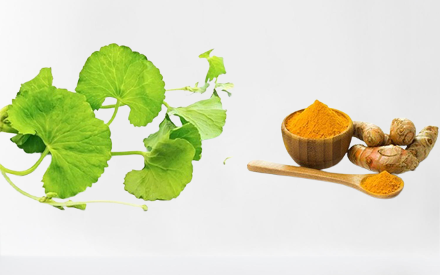 Fucoidan Umi No Shizuku anh 3