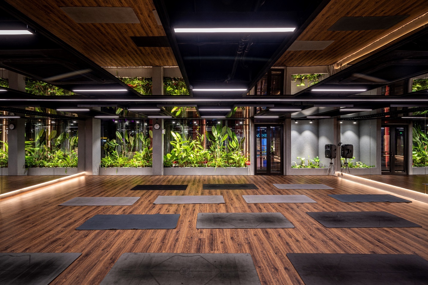 thương hiệu fitness,  nâng cao sức khỏe ảnh 2 thuong hieu fitness,  nang cao suc khoe anh 2