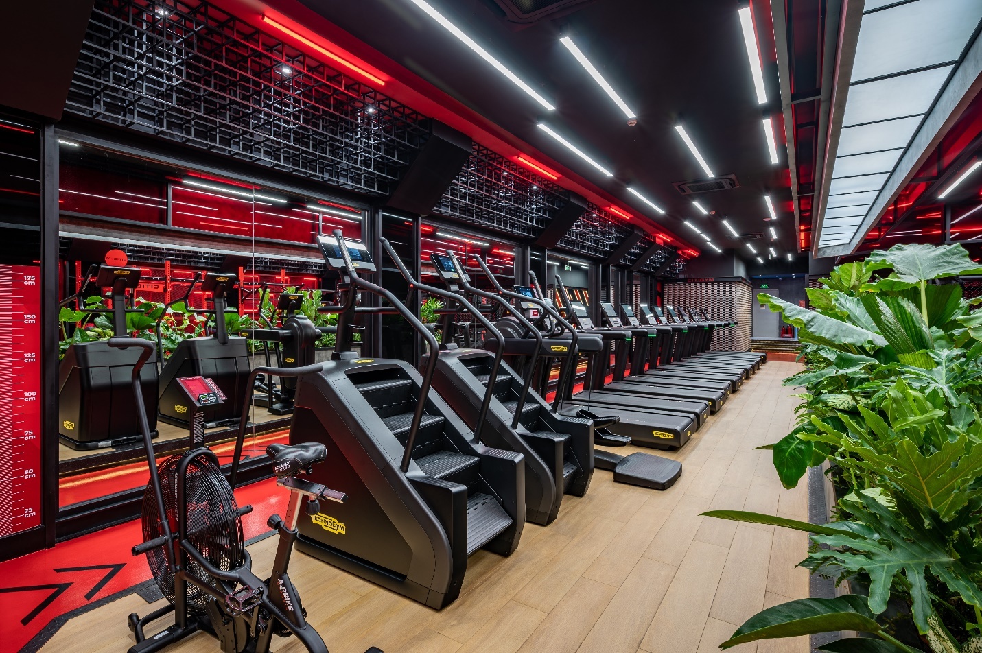 thương hiệu fitness,  nâng cao sức khỏe ảnh 3 thuong hieu fitness,  nang cao suc khoe anh 3