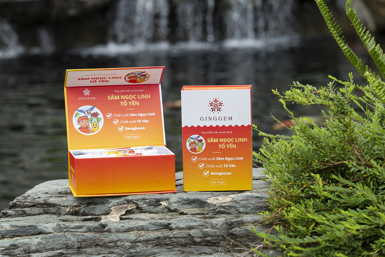 Ngo Kien Huy,  Tien Luat anh 5