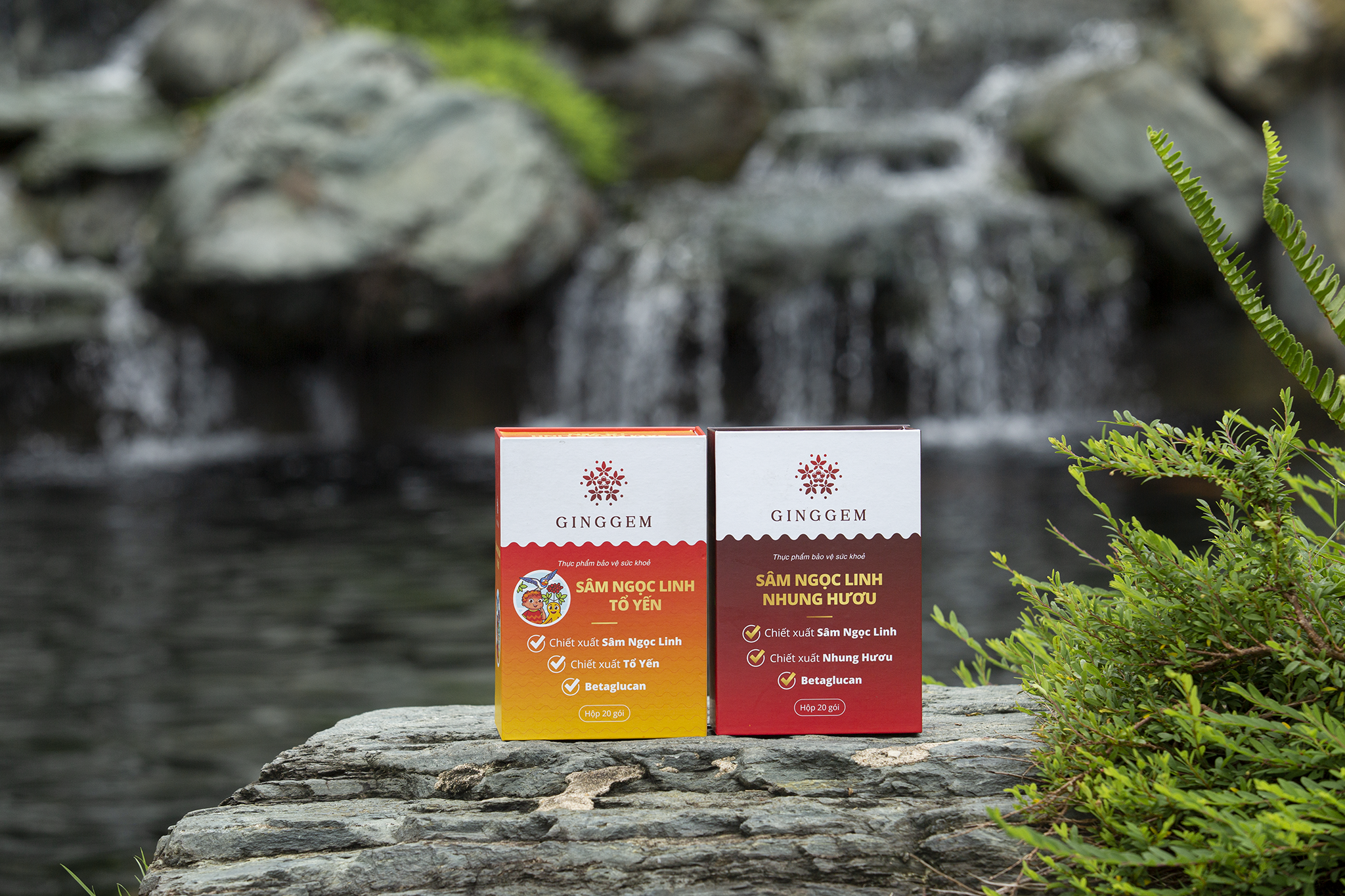 Ngo Kien Huy,  Tien Luat anh 3