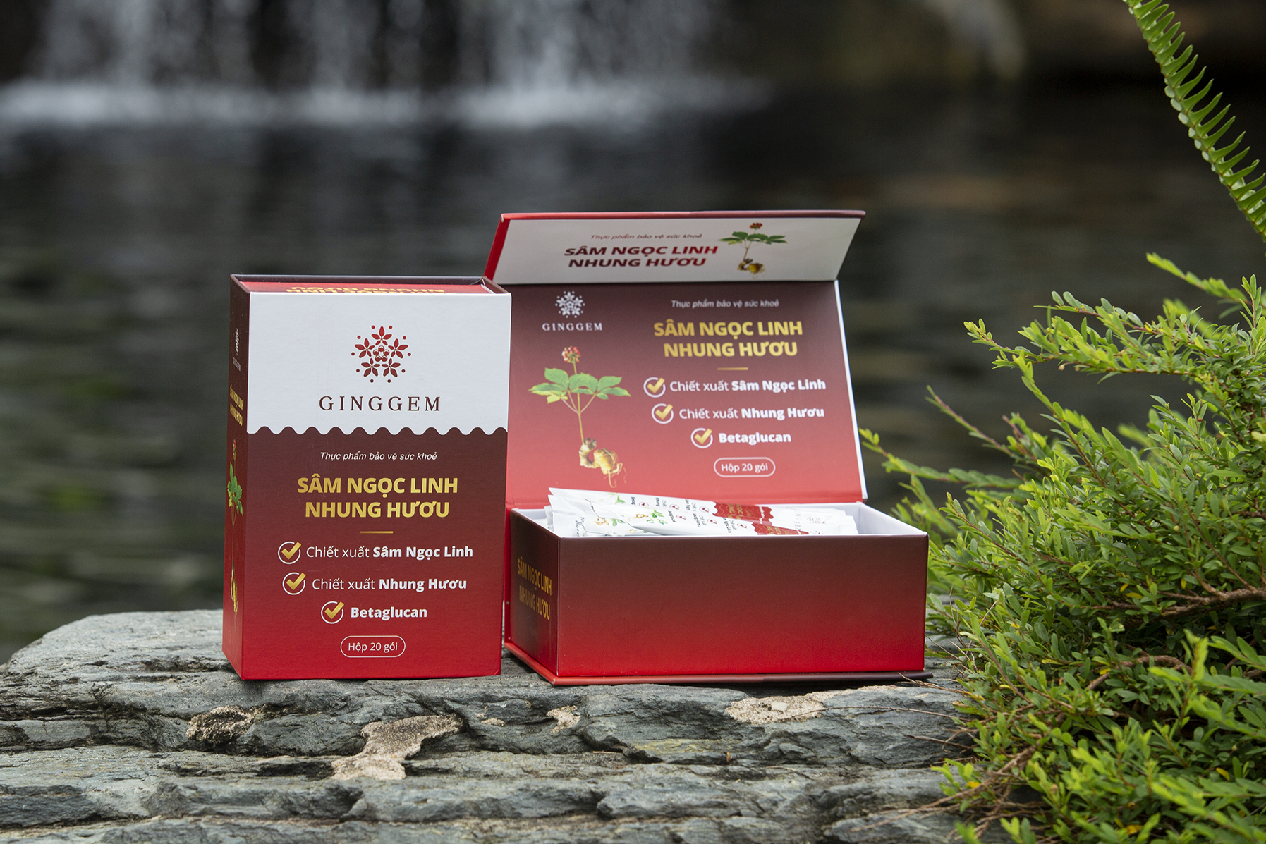 Ngo Kien Huy,  Tien Luat anh 4