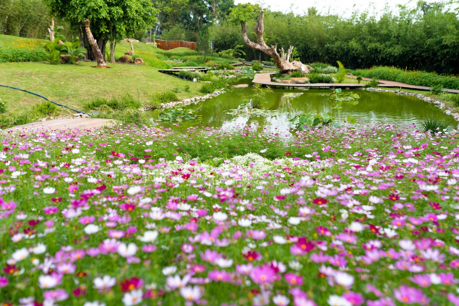 Tan huong ngay song lanh tai 'Thanh pho Ca phe' hinh anh