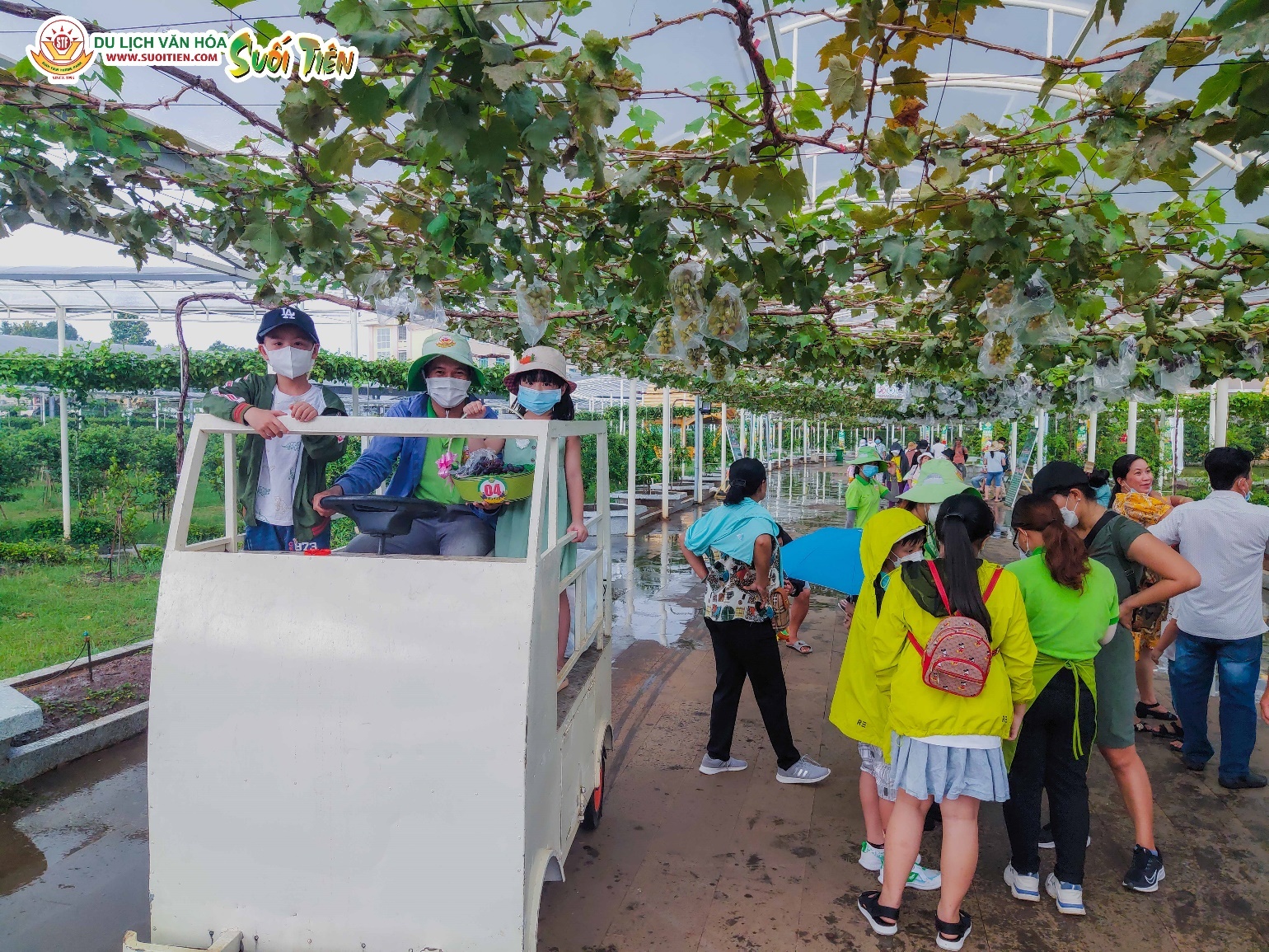 hai nho tai vuon,  du lich Suoi Tien anh 2