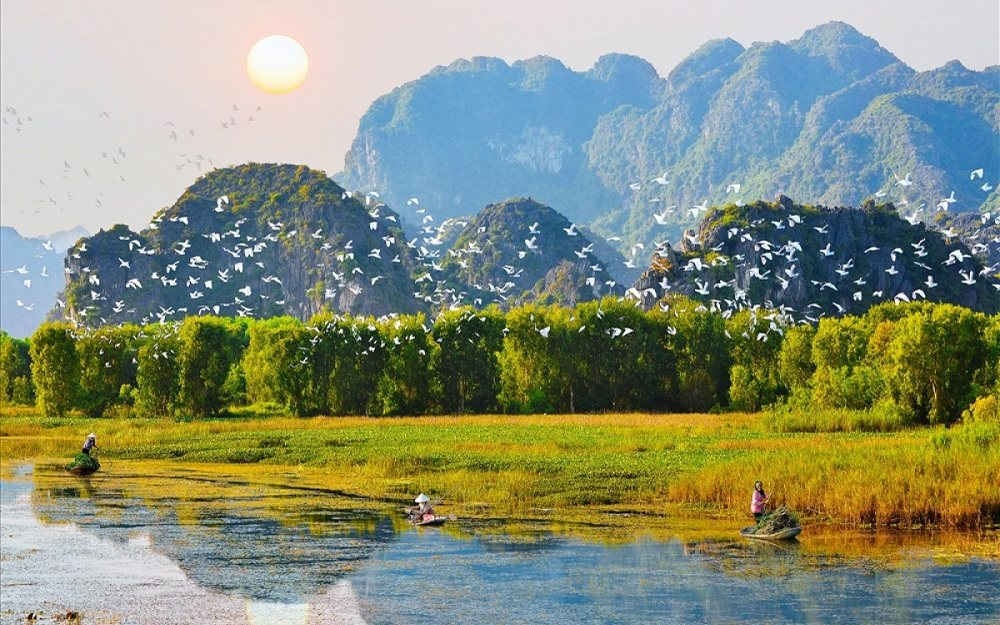 Ahamove,  AhaForest ảnh 3 Ahamove,  AhaForest anh 3