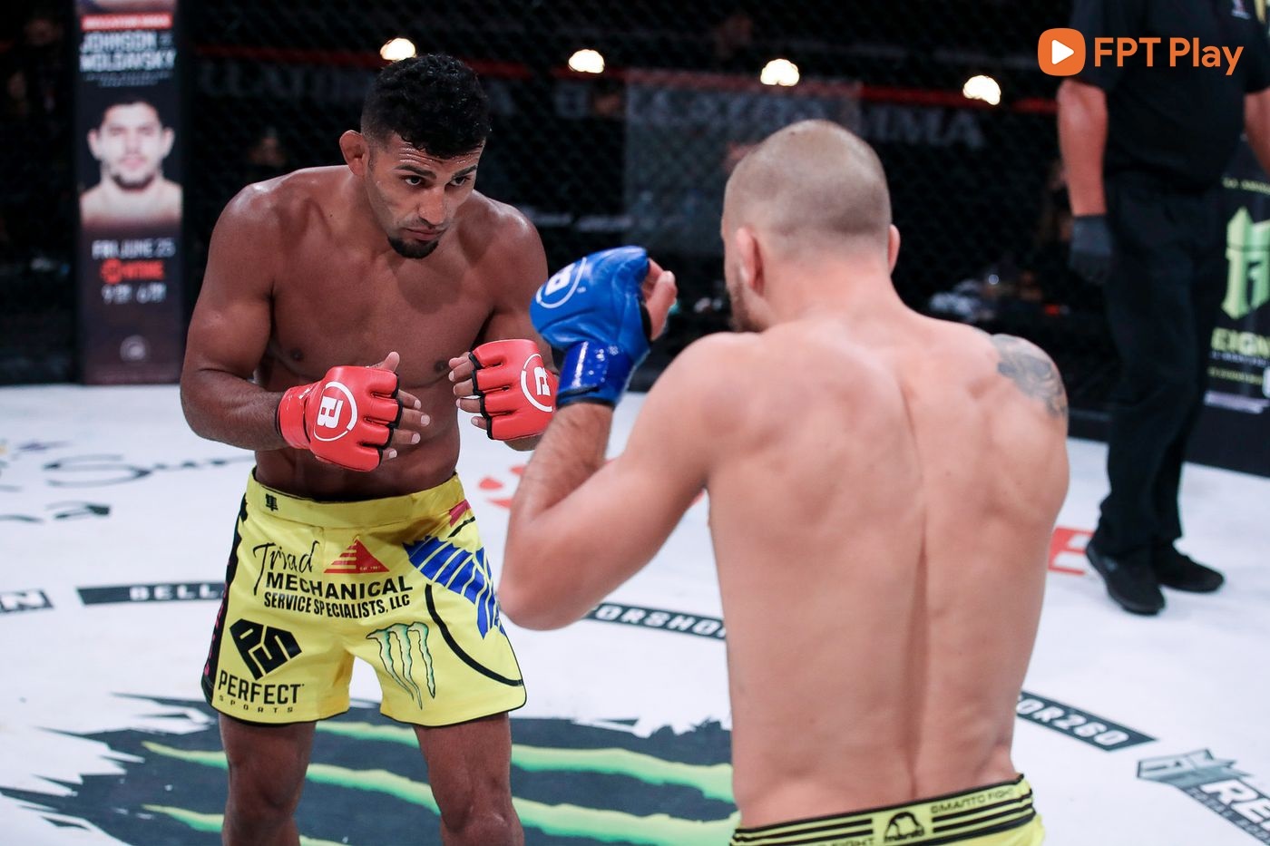vo thuat,  Douglas Lima anh 1