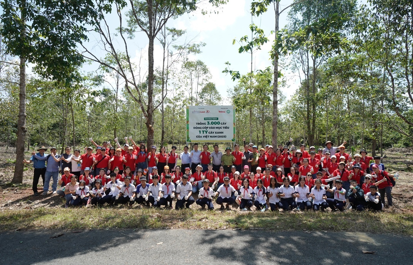 trong rung,  bao ve moi truong anh 3