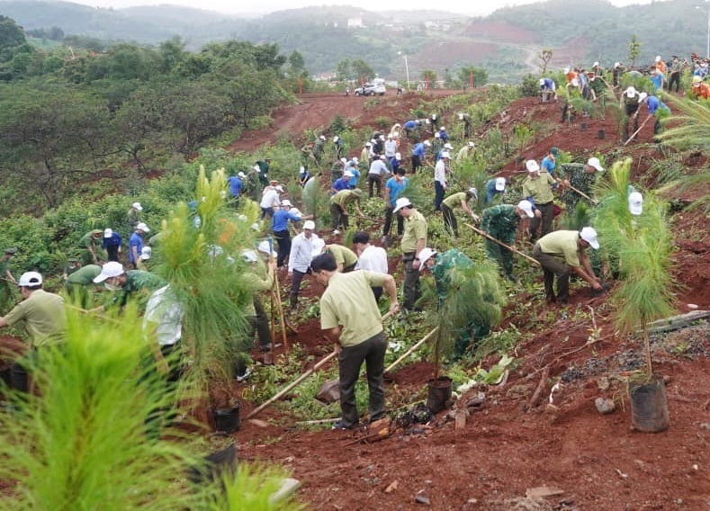 Suntory PepsiCo Viet Nam tiep noi hanh trinh trong rung giu nuoc hinh anh